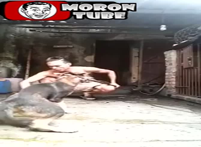 Video :A crazed individual brutally murders dogs and consumes their blood (VERY educated public)